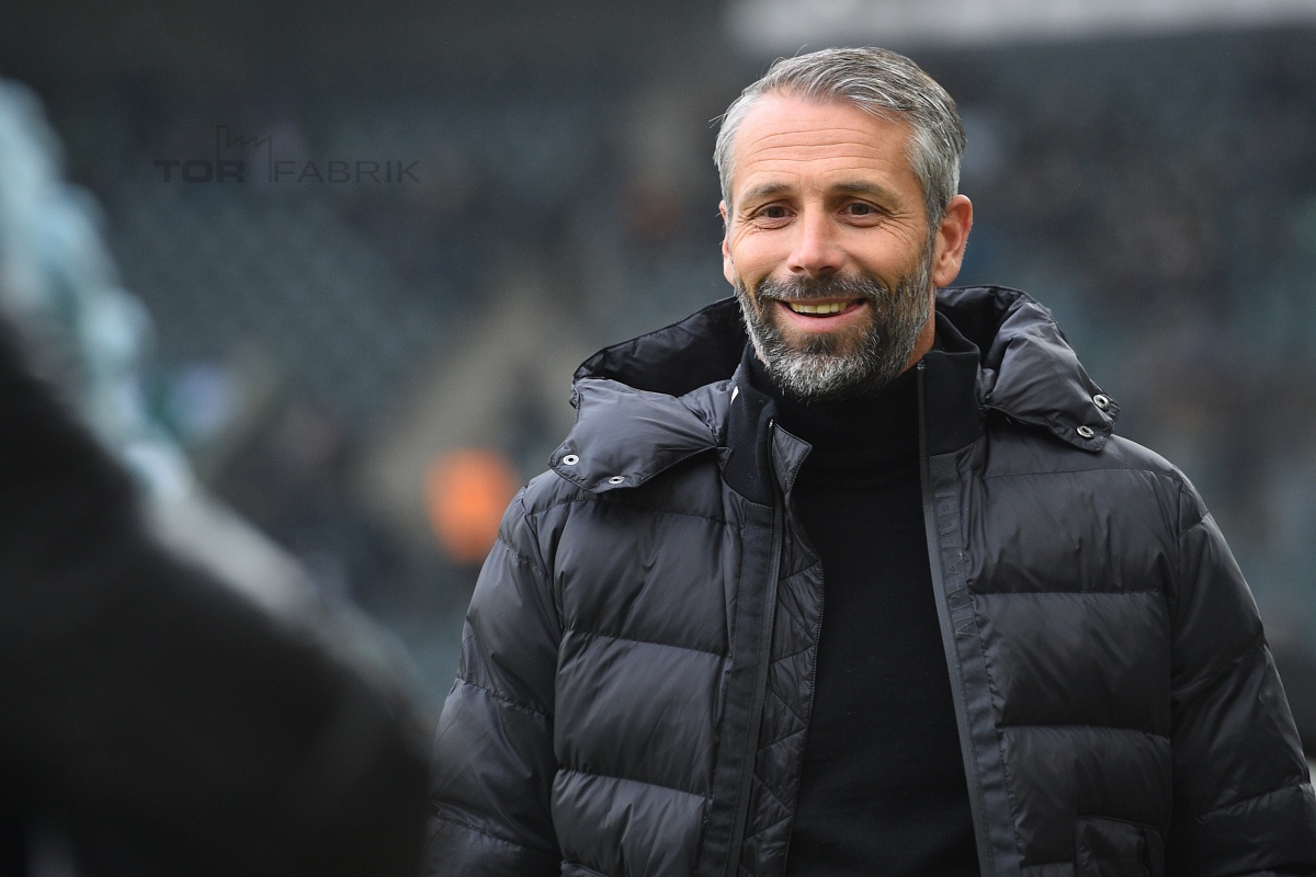 Marco Rose (Foto: TORfabrik.de)
